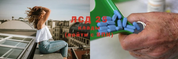 дурь Заводоуковск