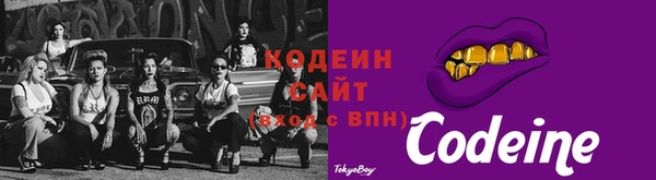 дурь Заводоуковск