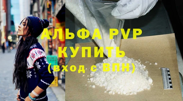 прущие грибы Зеленодольск