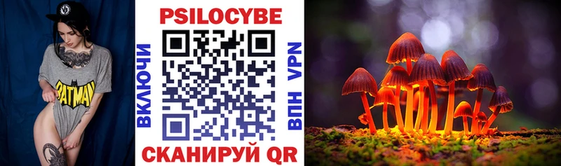 наркота  Сельцо  Галлюциногенные грибы Psilocybe 